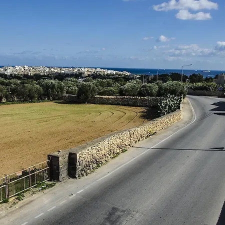 South Olives * Żejtun