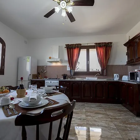 South Olives * Zejtun