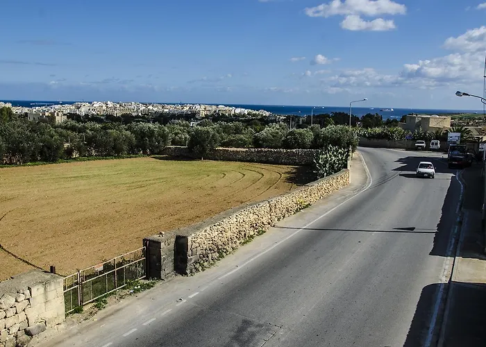 South Olives * Żejtun